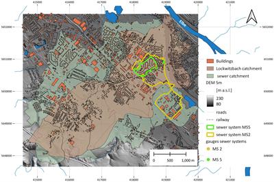 Fast urban inundation simulation with RIM2D for flood risk assessment and forecasting